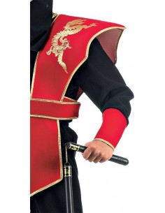 Red Master Ninja 2