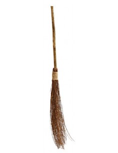 Witch broom