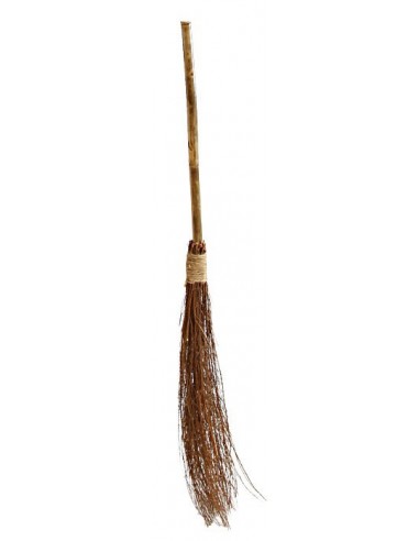 Witch broom